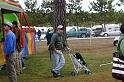 Picture 074